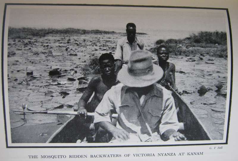 White African L S B Leakey