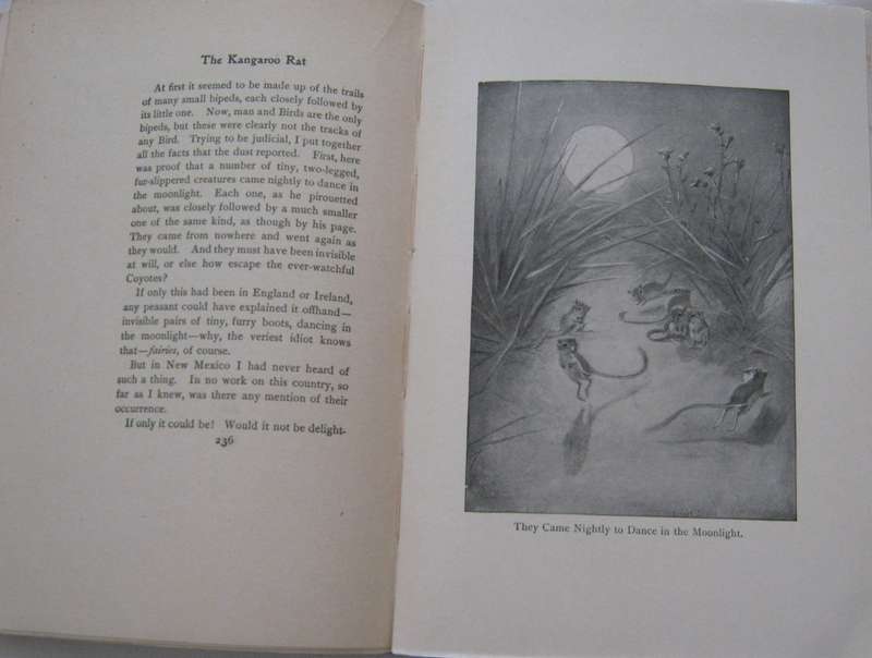 Lives Of The Hunted Ernest Thompson Seton