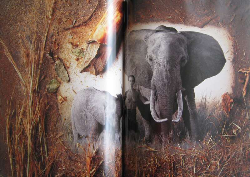The African Journal Horst Klemm