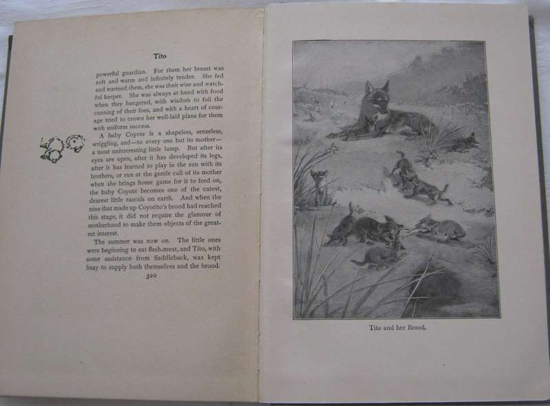 Lives Of The Hunted Ernest Thompson Seton