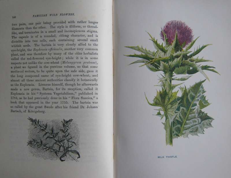 Familiar Wild Flowers  4 Volumes F Edward Hulme