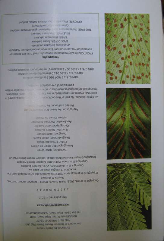 Ferns of Southern Africa: A Comprehensive Guide Neil R Crouch | Ronell R Klopper | John E Bu