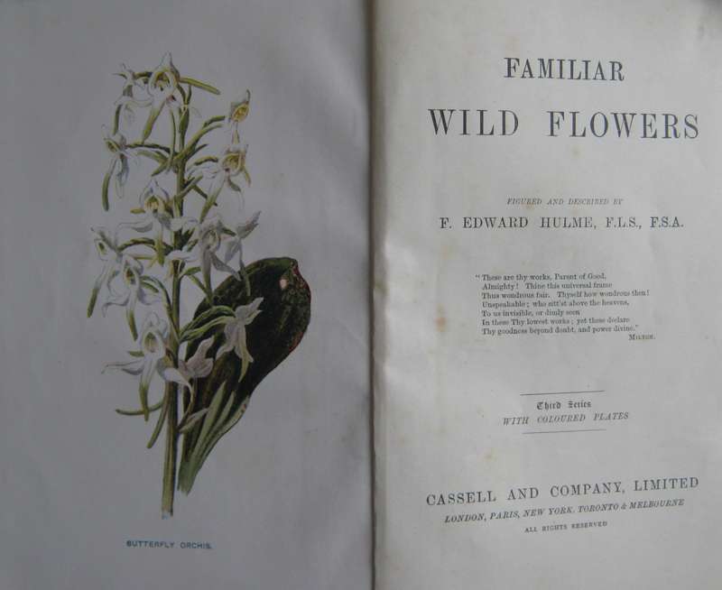 Familiar Wild Flowers  4 Volumes F Edward Hulme