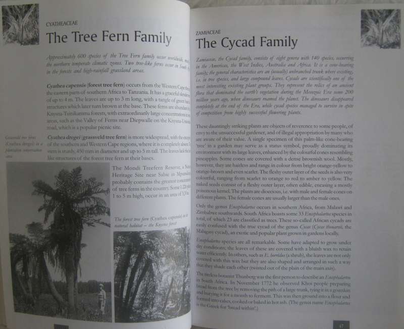 Remarkable Trees of South Africa Neels Esterhuyse | Jutta von Breitenbach | Hermien Sohnge