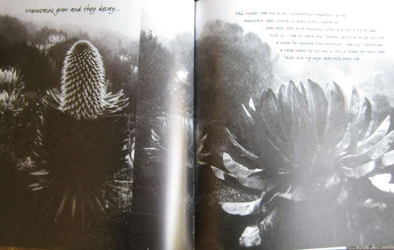 African Visions The Diary of an African Photographer Mirella Ricciardi