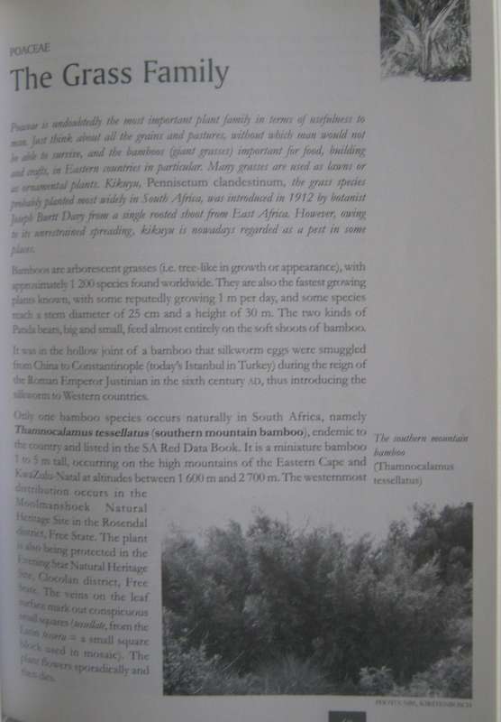 Remarkable Trees of South Africa Neels Esterhuyse | Jutta von Breitenbach | Hermien Sohnge