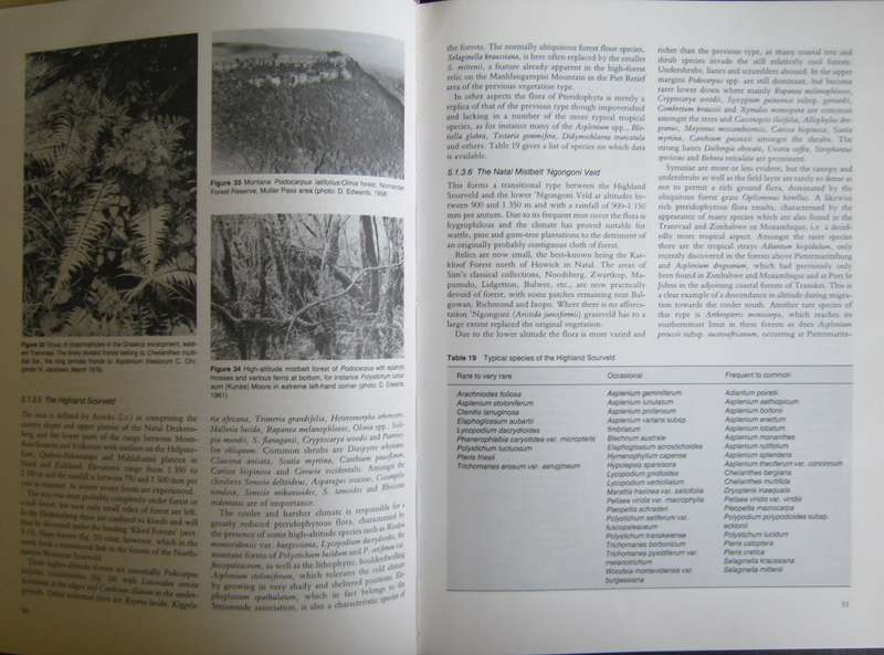 The Ferns and Fern Allies of Southern Africa W B G Jacobsen      P