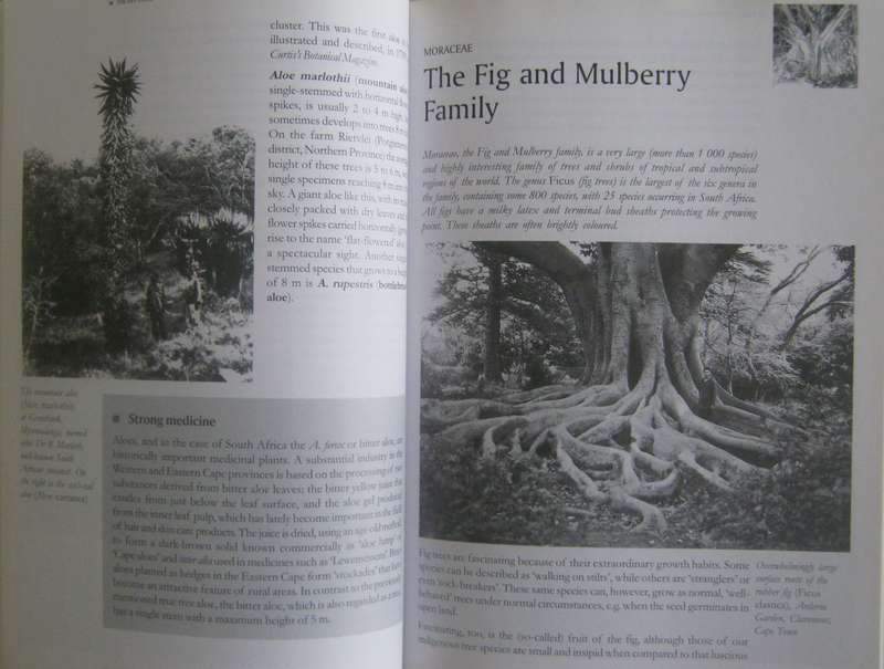 Remarkable Trees of South Africa Neels Esterhuyse | Jutta von Breitenbach | Hermien Sohnge