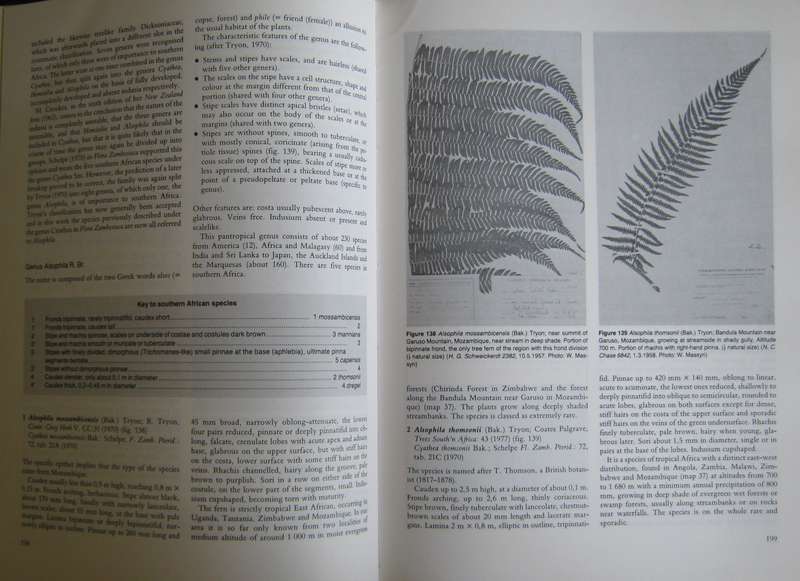 The Ferns and Fern Allies of Southern Africa W B G Jacobsen      P