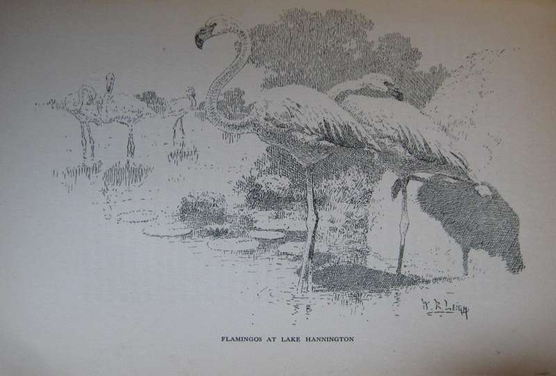 Frontiers of Enchantment An Artists Adventures in Africa W R Leigh