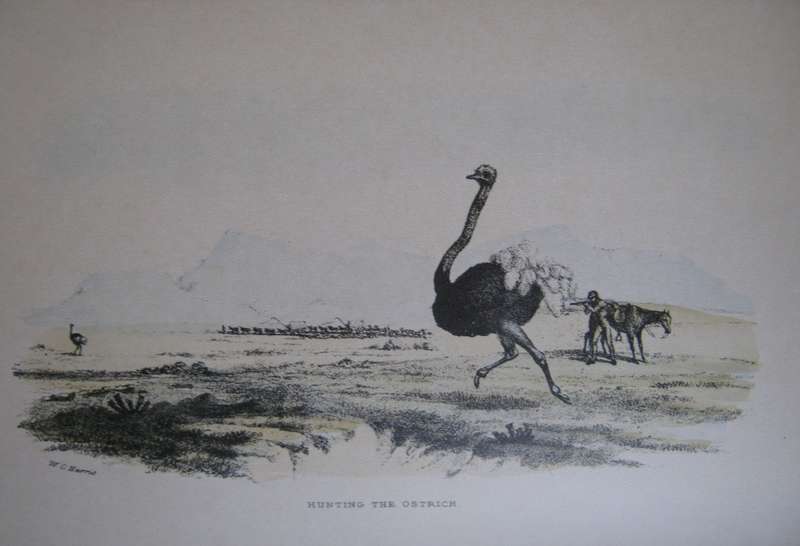 The Wild Sports of Southern Africa Captain William Cornwallis Harris