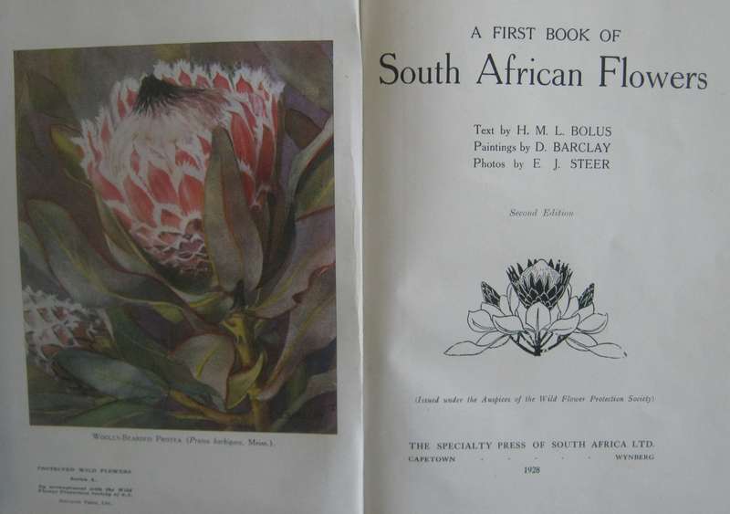 A First Book of South African Flowers