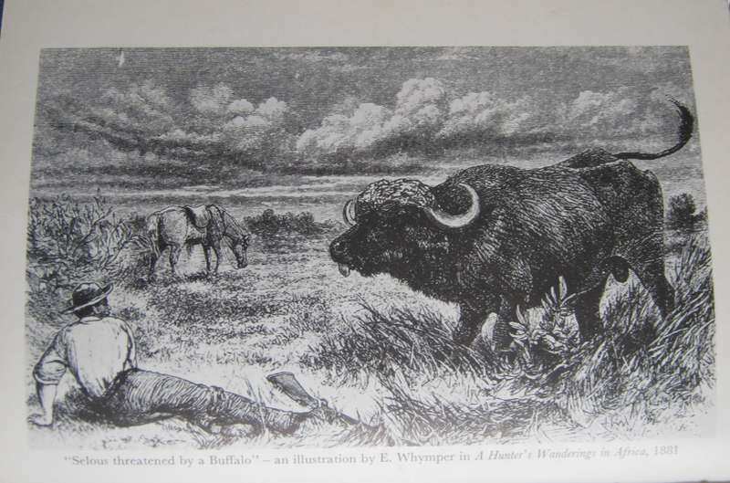 The Great Hunters Geoffrey Haresnape