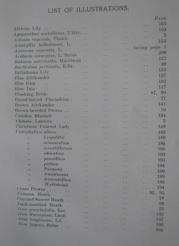 A First Book of South African Flowers