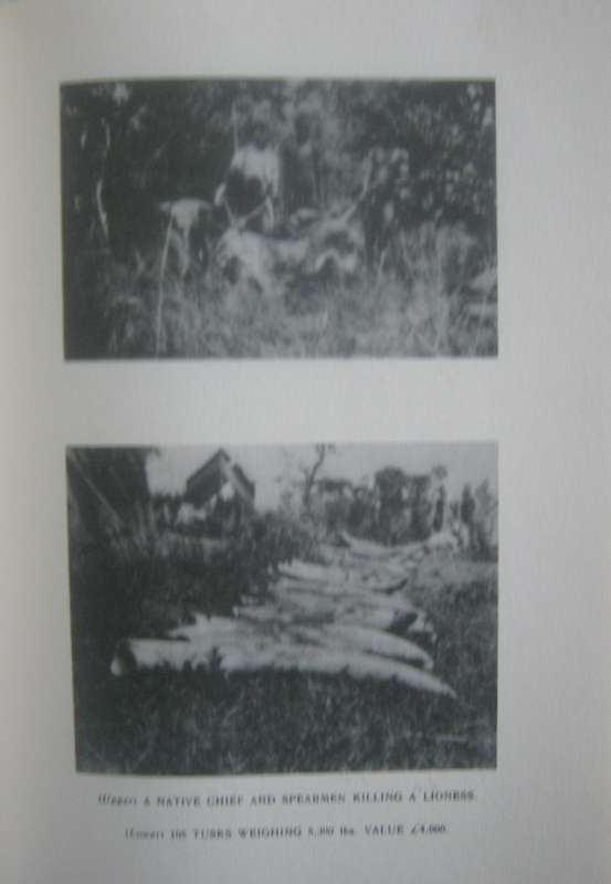 Big Game Hunting in Central Africa William Buckley