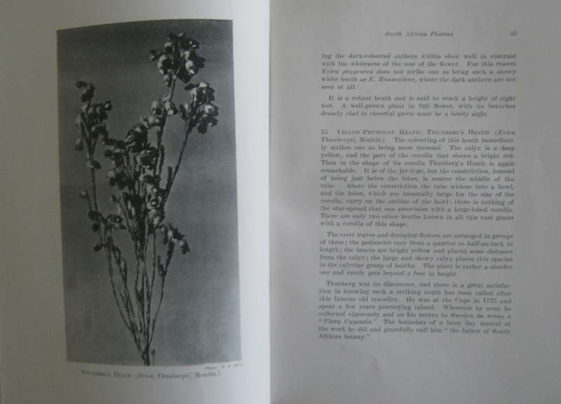 A First Book of South African Flowers