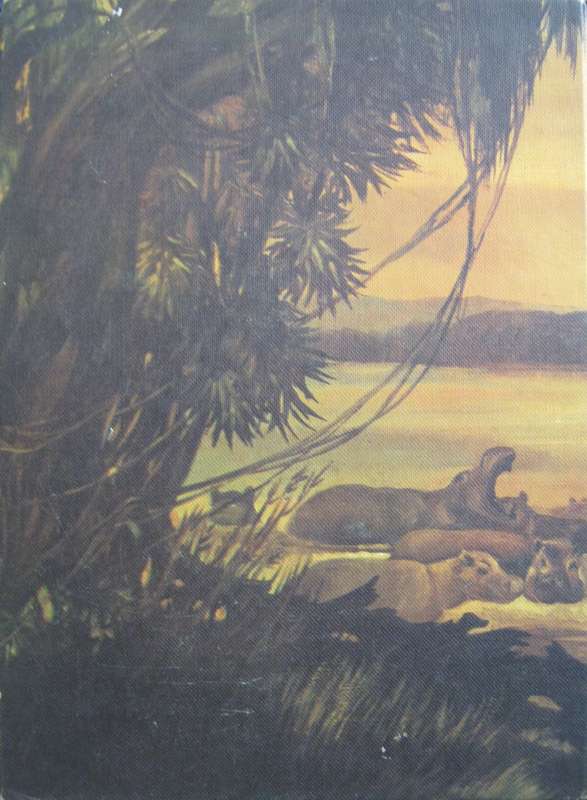 Zambezi Odyssey S J Edwards
