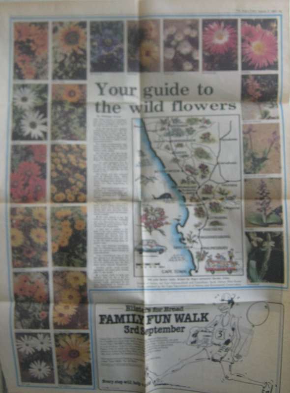 A First Book of South African Flowers
