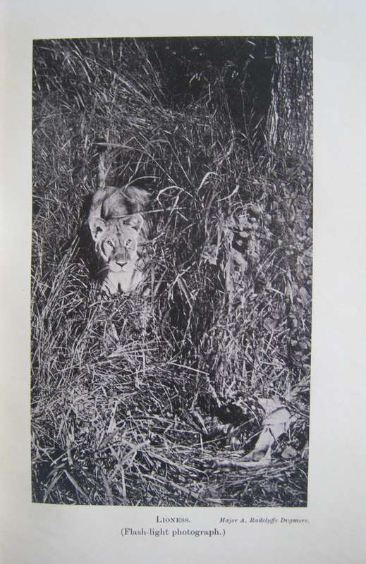 A Game Ranger on Safari A. Blayney Percival