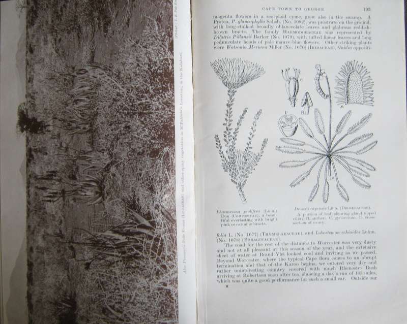 A Botanist in Southern Africa John Hutchinson