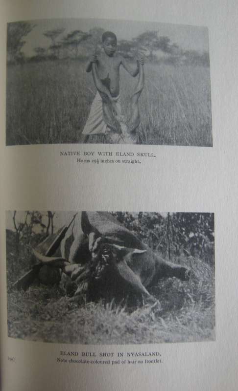 Memories of an African Hunter Denis D Lyell