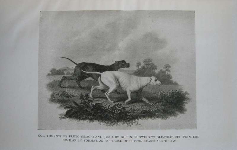 The Complete Shot G T Teasdale-Bucknell