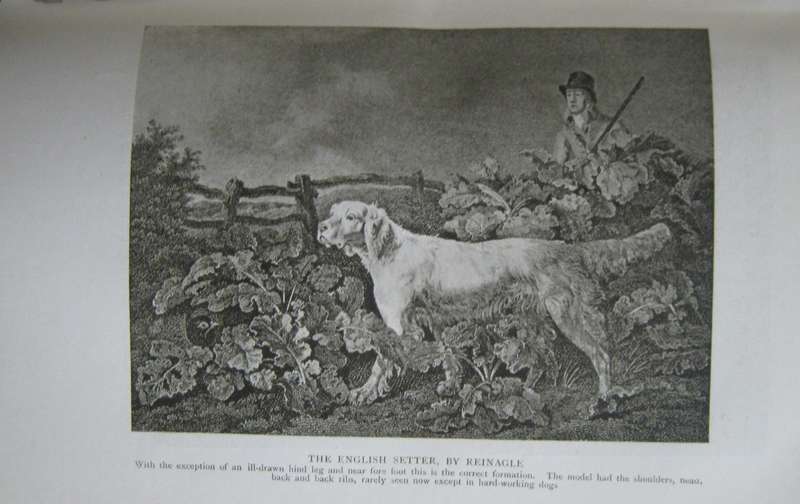The Complete Shot G T Teasdale-Bucknell