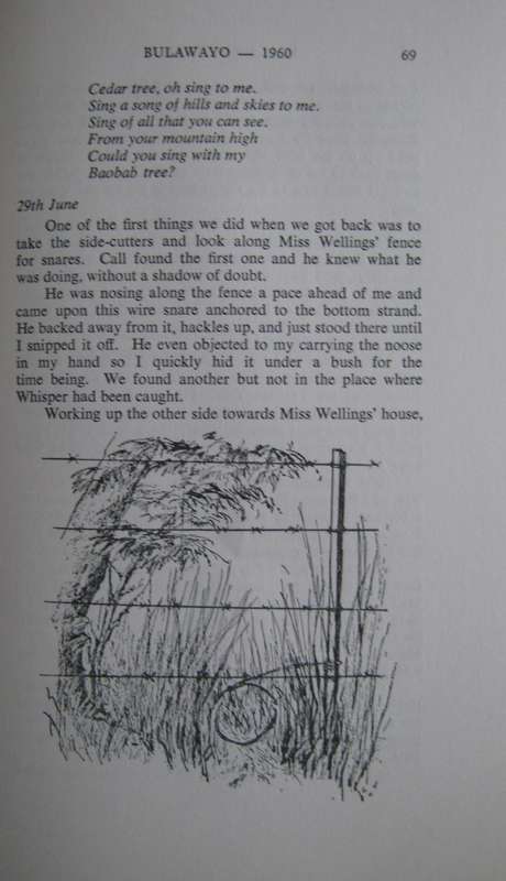 Call of the Marsh. Life with a Basenji Jill Wylie. Illustrated by Sue Ross