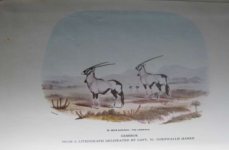 Trekking The Great Thirst Sport & Travel in the Kalahari Desert Arnold W Hudson