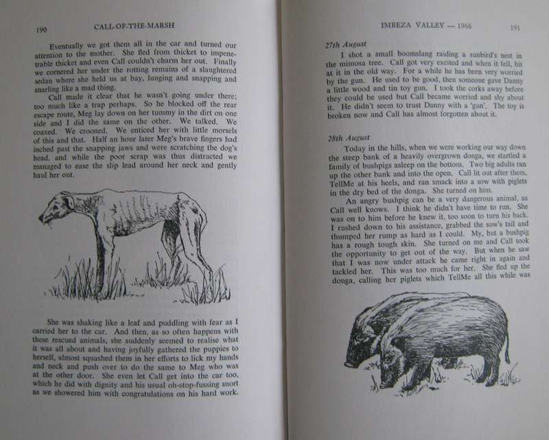Call of the Marsh. Life with a Basenji Jill Wylie. Illustrated by Sue Ross