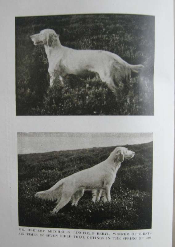 The Complete Shot G T Teasdale-Bucknell