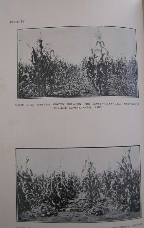 Field Crops in South Africa South African Agricultural Series No 1  Author: H D Leppan & G J Bosman
