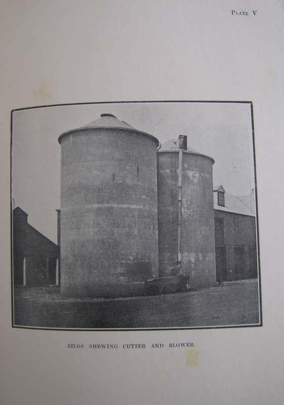 Field Crops in South Africa South African Agricultural Series No 1  Author: H D Leppan & G J Bosman