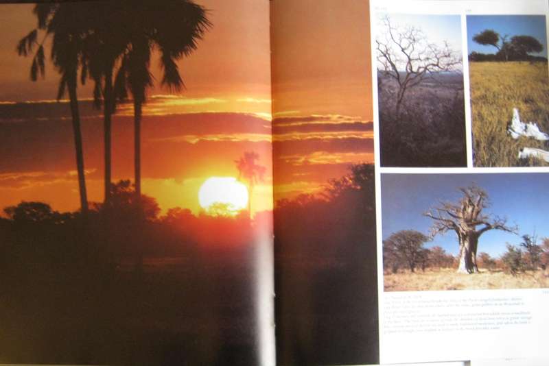 Rhodesian Legacy Ian Murphy | Alf Wannenburgh