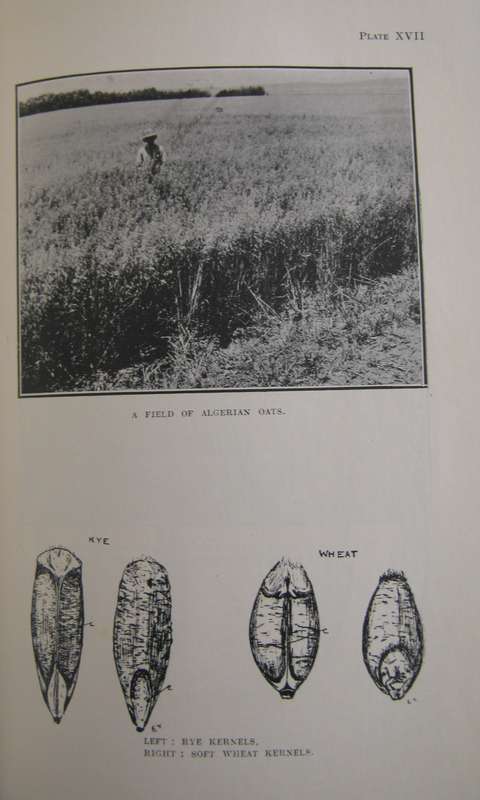 Field Crops in South Africa South African Agricultural Series No 1  Author: H D Leppan & G J Bosman