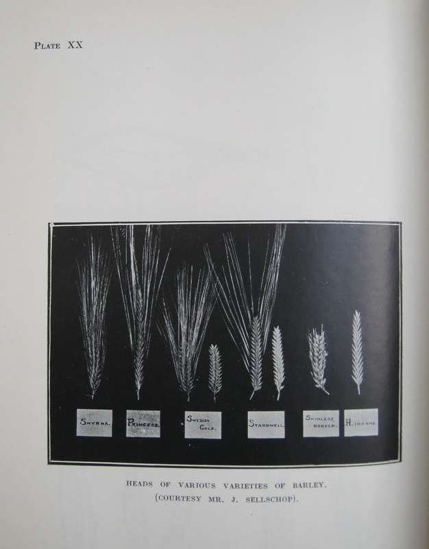 Field Crops in South Africa South African Agricultural Series No 1  Author: H D Leppan & G J Bosman