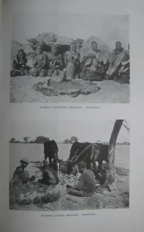 Trekking The Great Thirst Sport & Travel in the Kalahari Desert Arnold W Hudson