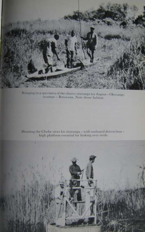 Hunting in Africa Bill Morkel