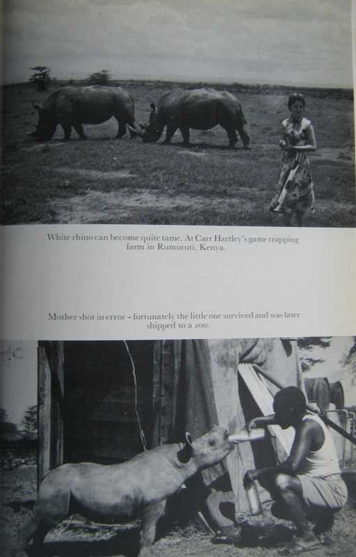 Hunting in Africa Bill Morkel