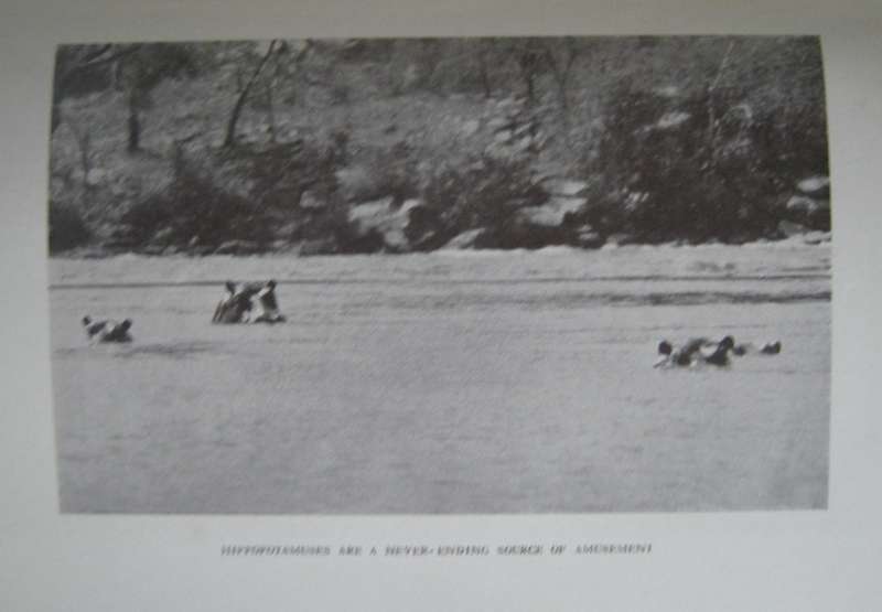 A Game Warden Amongst His Charges C R S Pitman