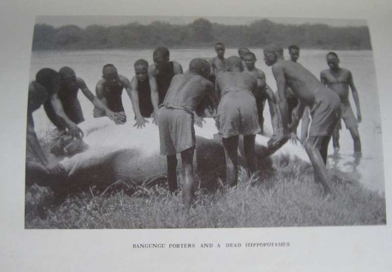 A Game Warden Amongst His Charges C R S Pitman