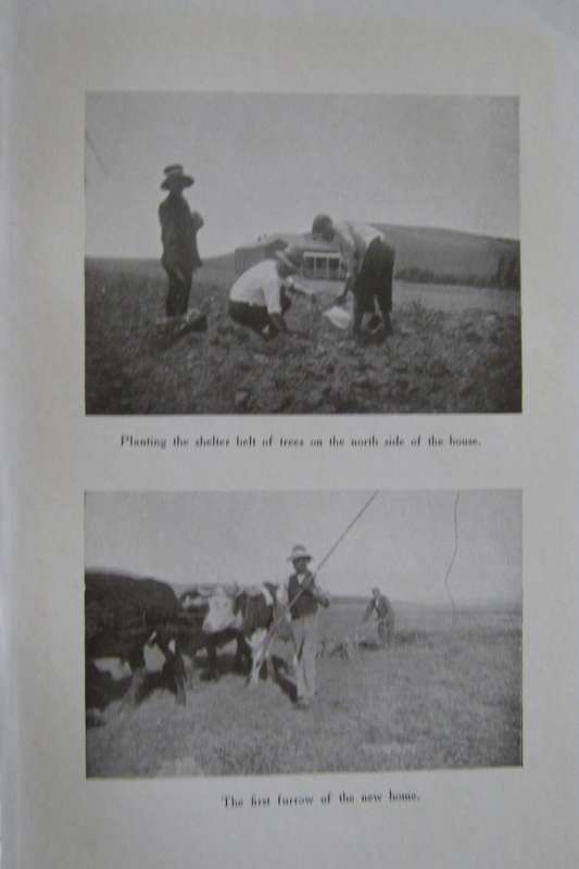 The Call of the Veld  Signed by the Author, Leonard Flemming