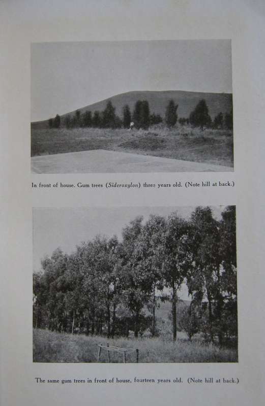 The Call of the Veld  Signed by the Author, Leonard Flemming