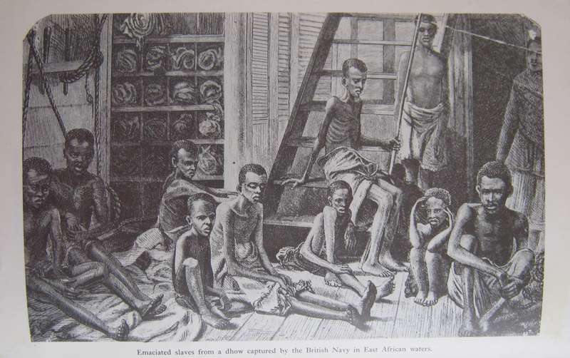 Livingstone 1873  1973 Edited by B W Lloyd