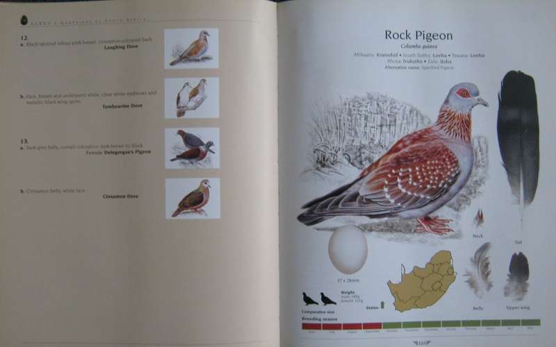 Agreds Game Birds of South Africa Field Identification and Management P J Viljoen.