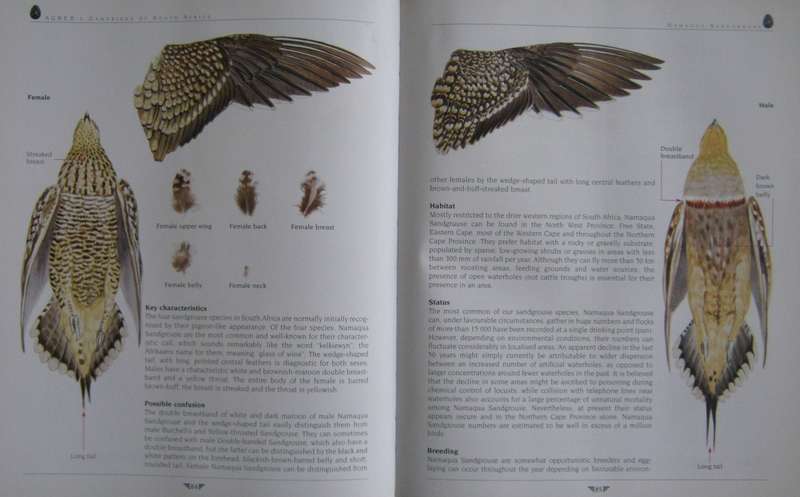 Agreds Game Birds of South Africa Field Identification and Management P J Viljoen.