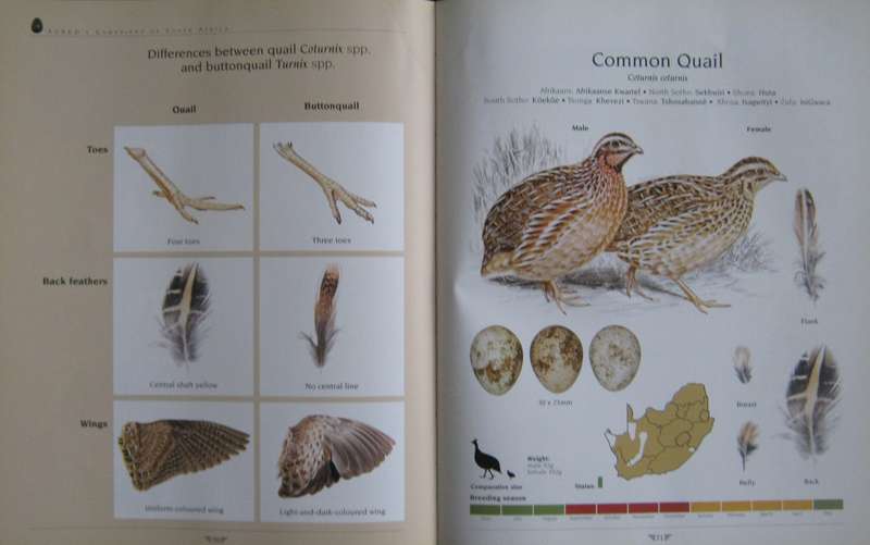 Agreds Game Birds of South Africa Field Identification and Management P J Viljoen.