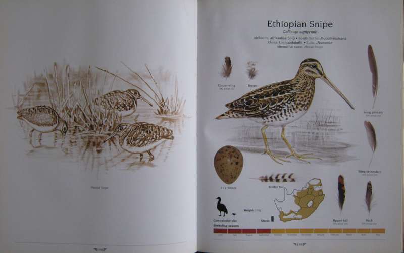 Agreds Game Birds of South Africa Field Identification and Management P J Viljoen.