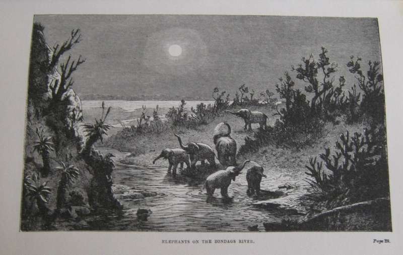 Seven Years In Africa Travels, Researches, and Hunting Adventures, between the Diamond-Fields and th