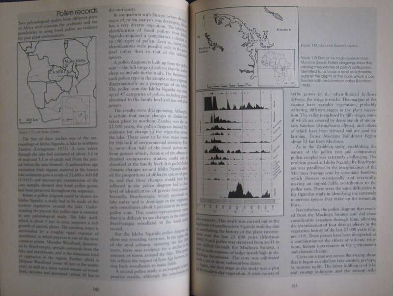 Archaeology Africa Martin Hall Publisher: David Philip